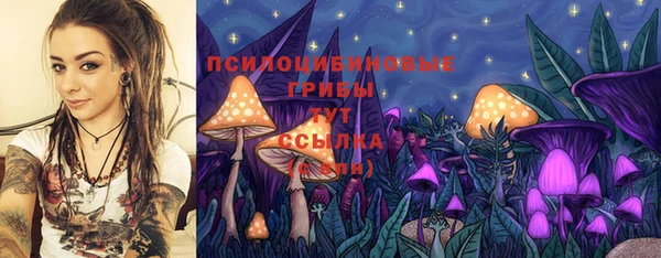 прущая мука Арсеньев