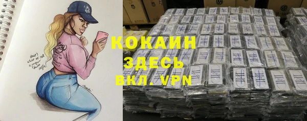 твердый Аркадак