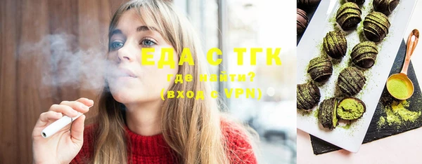 хмурый Алексин
