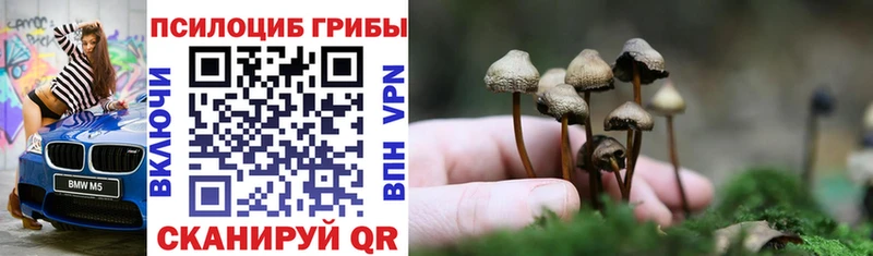 Псилоцибиновые грибы GOLDEN TEACHER  сколько стоит  Королёв 